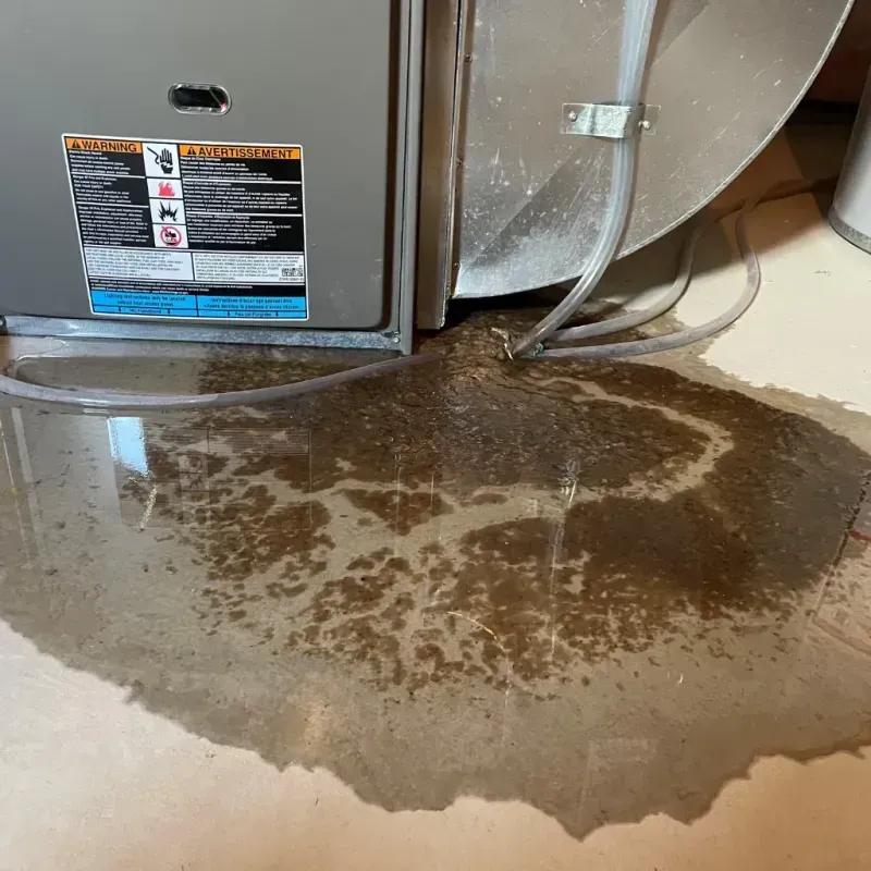 Appliance Leak Cleanup in Simpsonville, KY